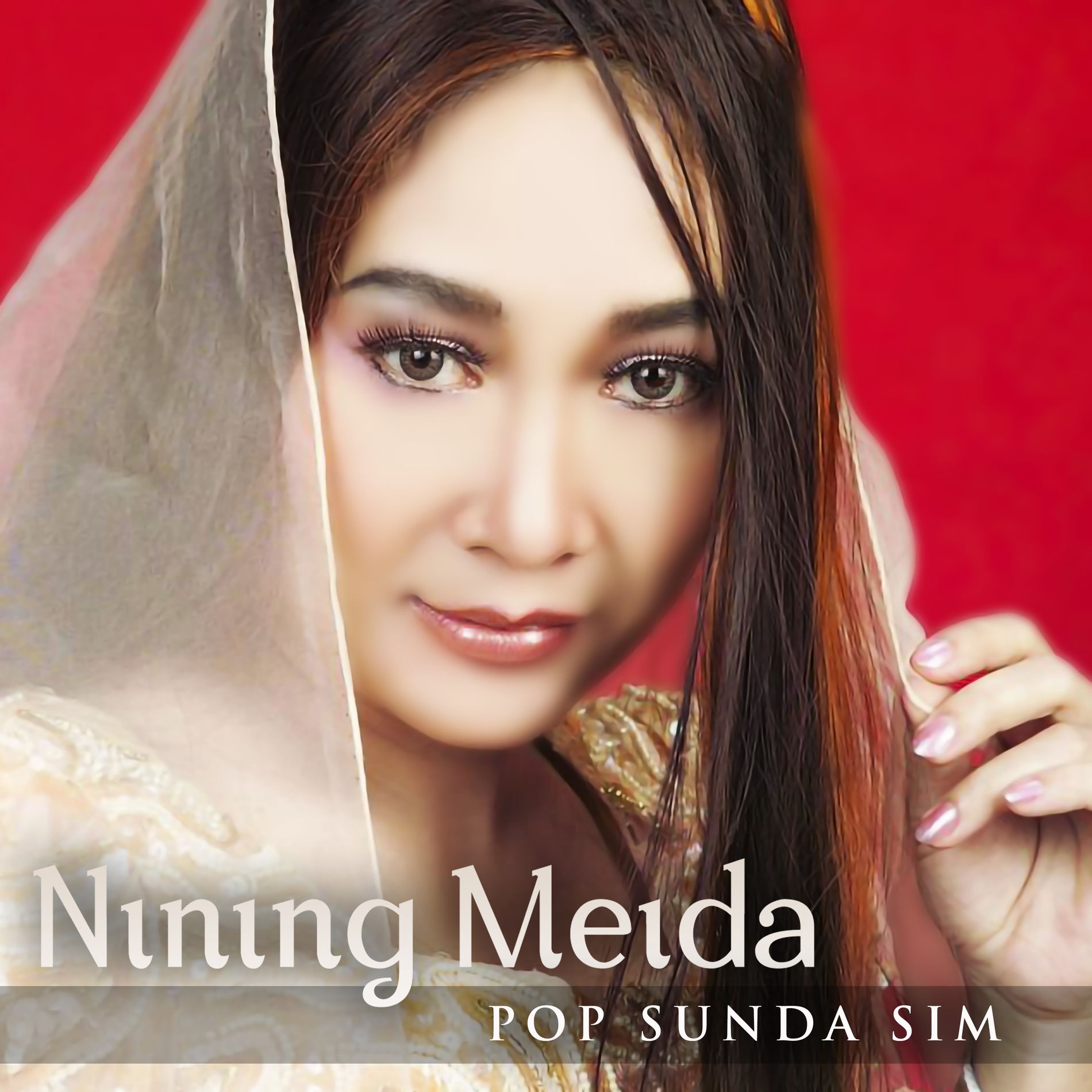 Hj. Nining Meida